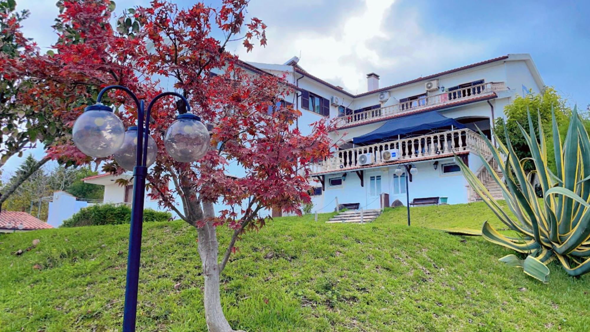 Jantesta Guest House コインブラ エクステリア 写真